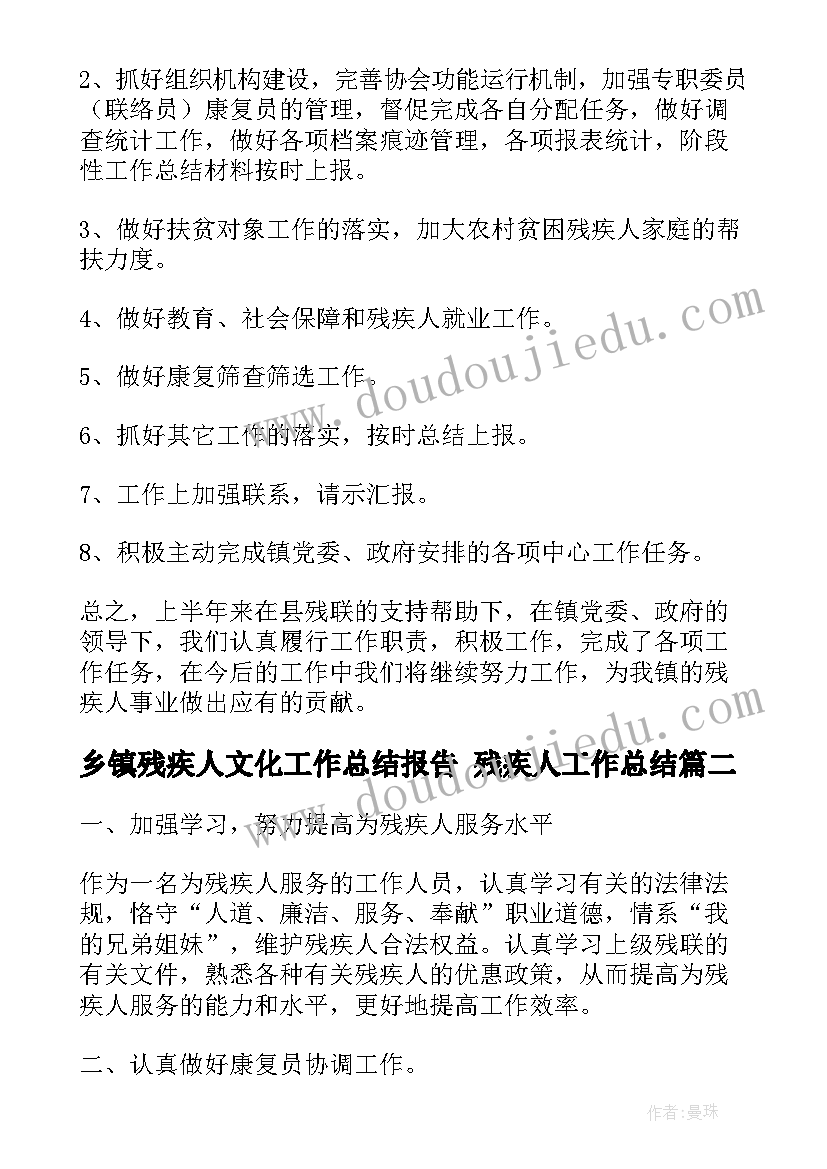 乡镇残疾人文化工作总结报告 残疾人工作总结(大全5篇)