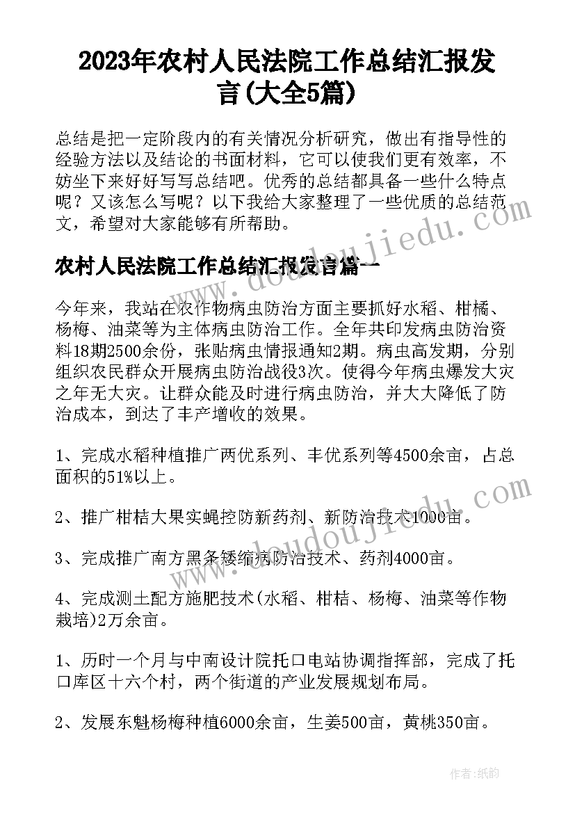 2023年农村人民法院工作总结汇报发言(大全5篇)