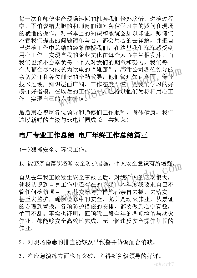 2023年电厂专业工作总结 电厂年终工作总结(精选10篇)