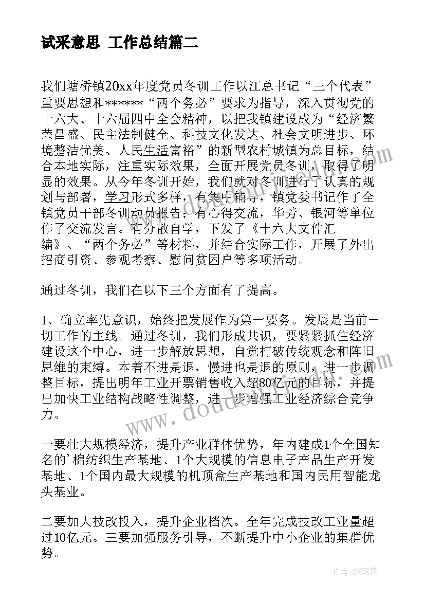 2023年试采意思 工作总结(大全6篇)