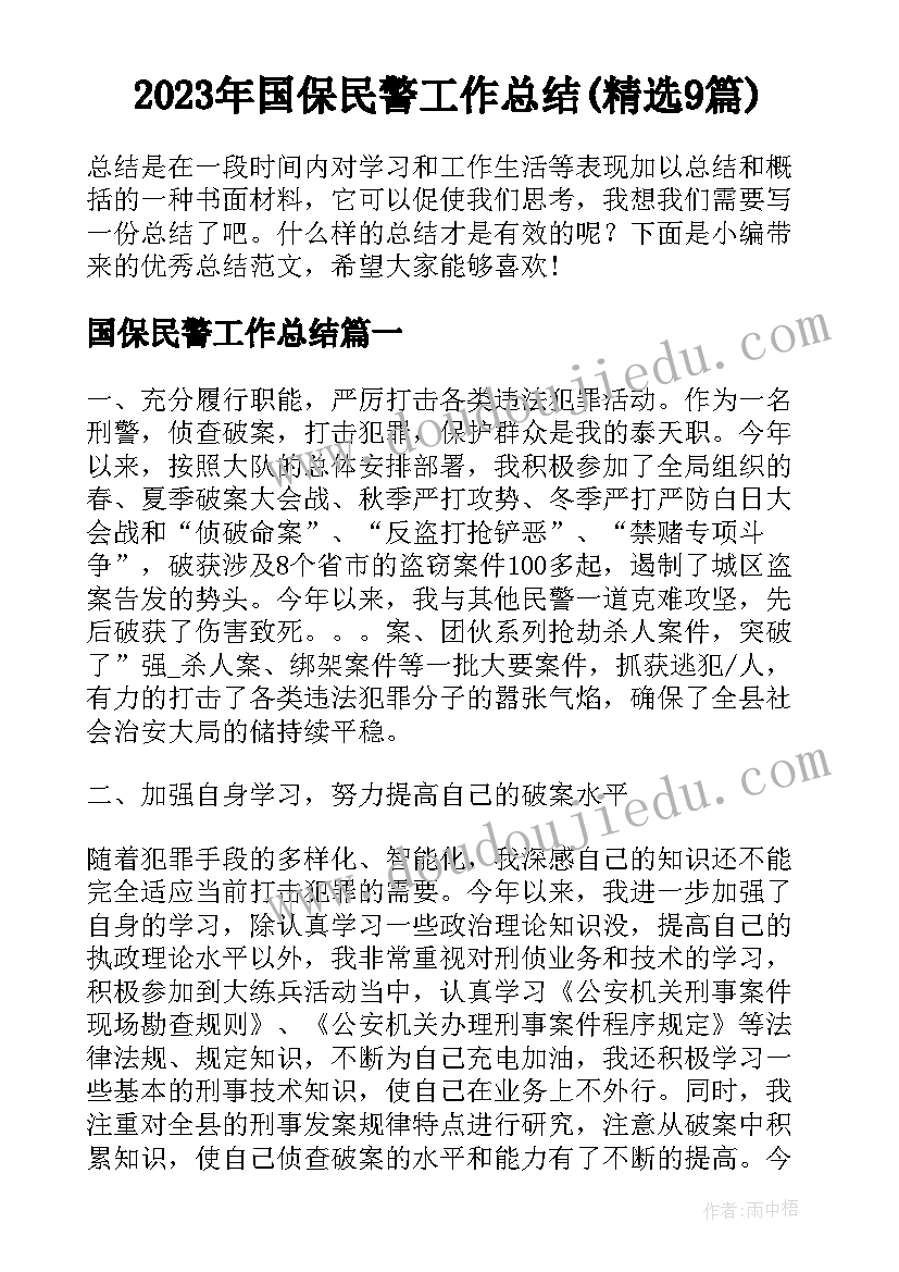 2023年国保民警工作总结(精选9篇)