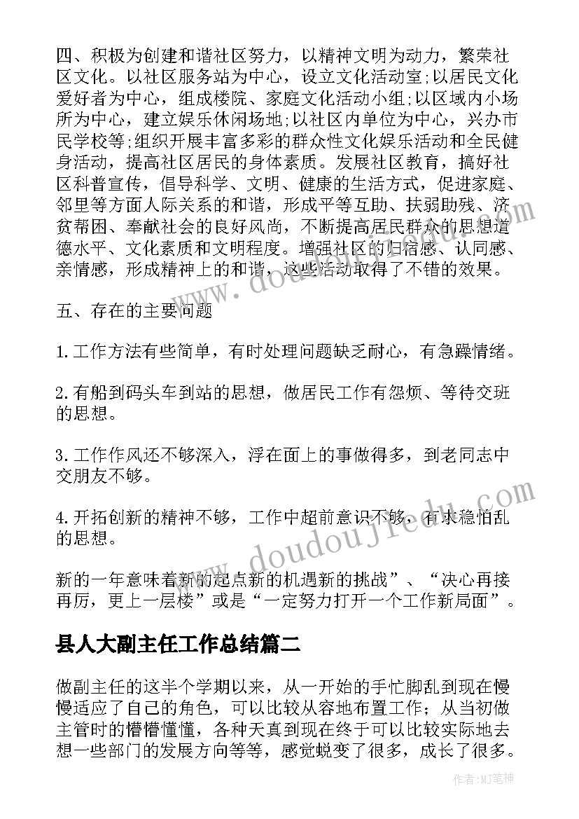 2023年县人大副主任工作总结(精选5篇)