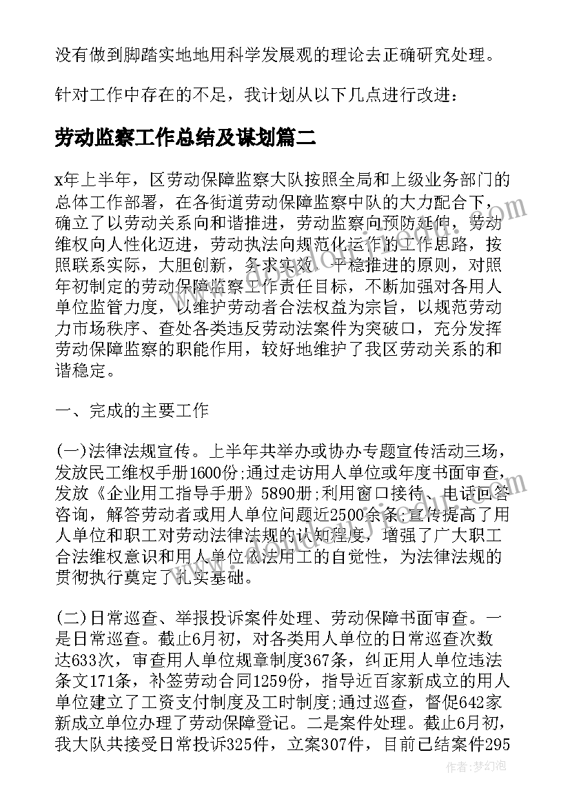 2023年劳动监察工作总结及谋划(大全8篇)