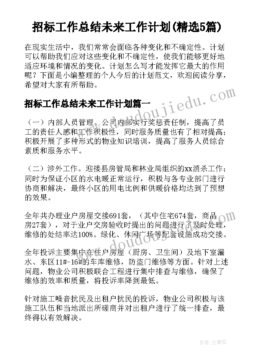 招标工作总结未来工作计划(精选5篇)