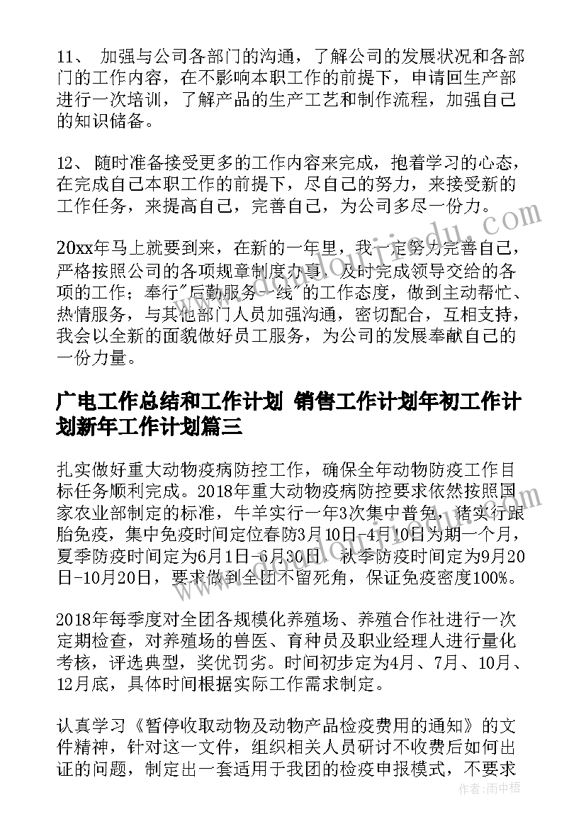 最新广电工作总结和工作计划 销售工作计划年初工作计划新年工作计划(实用8篇)