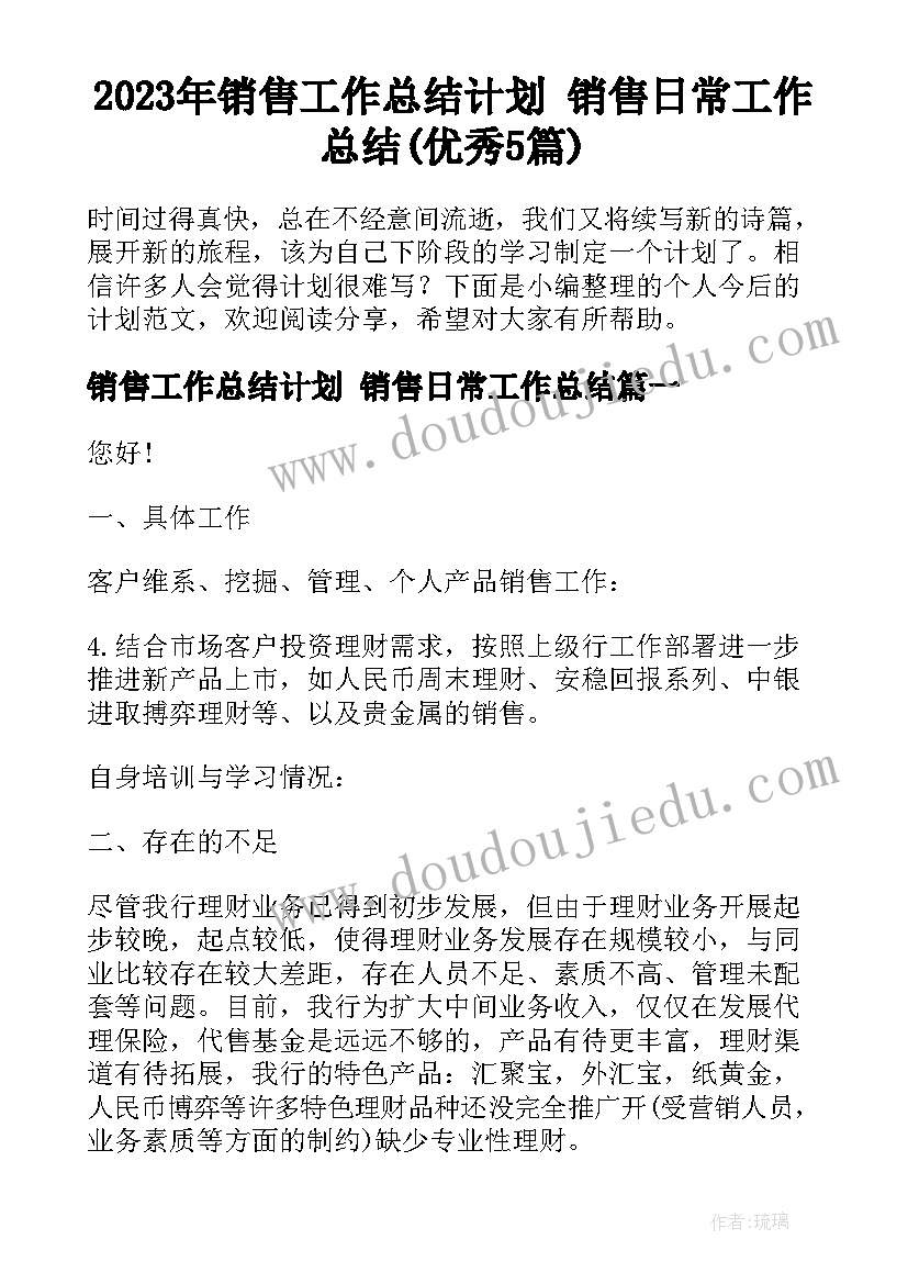 2023年销售工作总结计划 销售日常工作总结(优秀5篇)