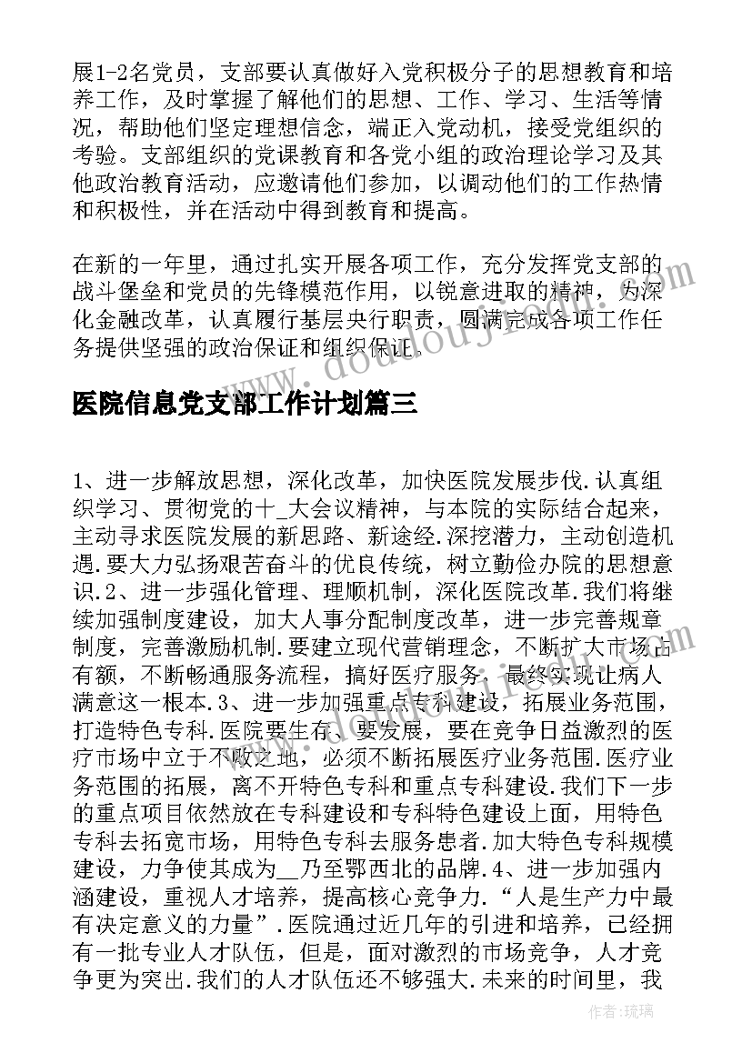 医院信息党支部工作计划(汇总5篇)