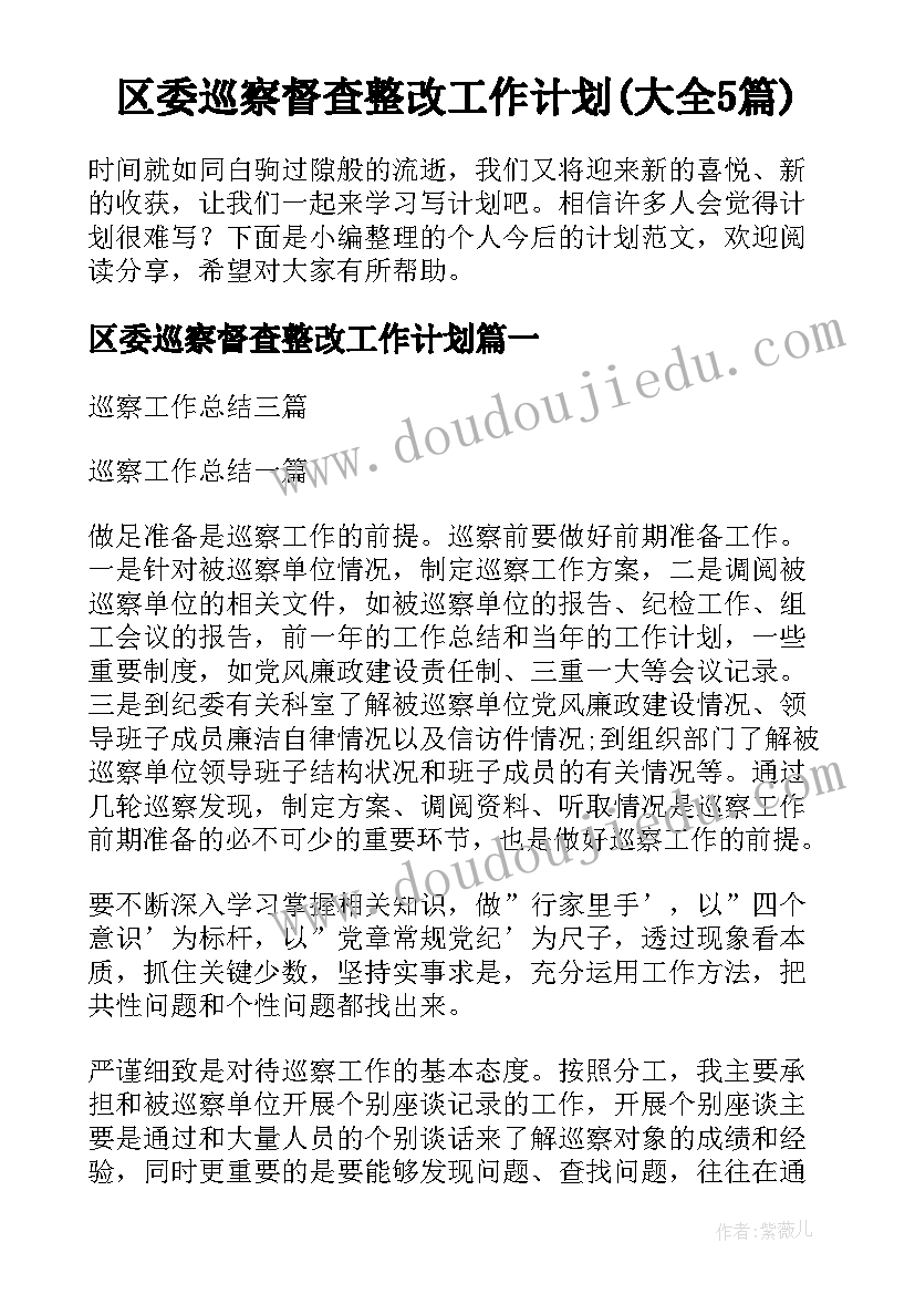 区委巡察督查整改工作计划(大全5篇)