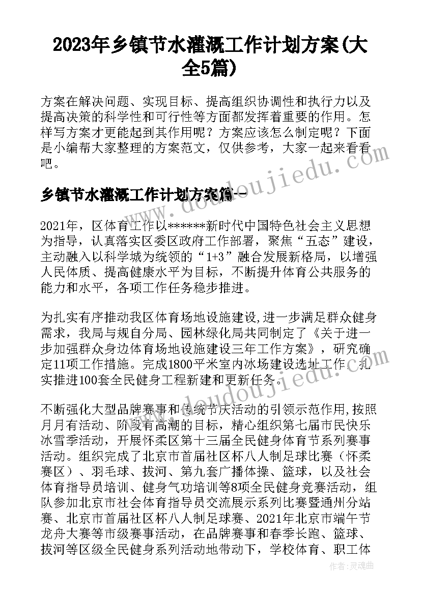 2023年乡镇节水灌溉工作计划方案(大全5篇)