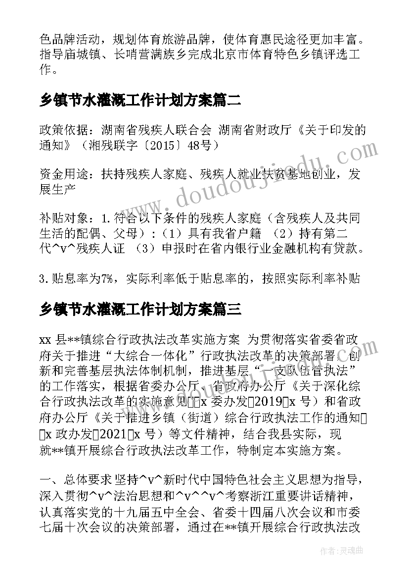 2023年乡镇节水灌溉工作计划方案(大全5篇)