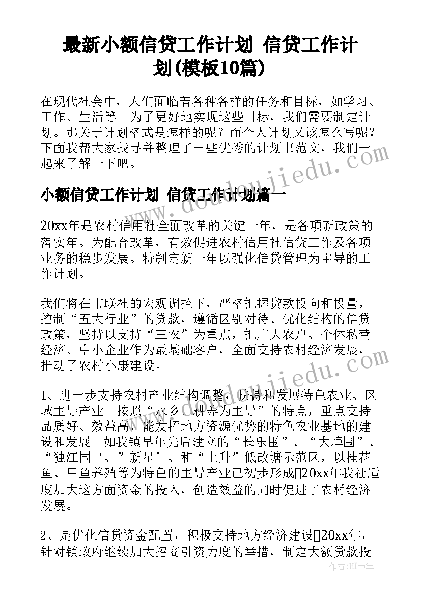 最新小额信贷工作计划 信贷工作计划(模板10篇)