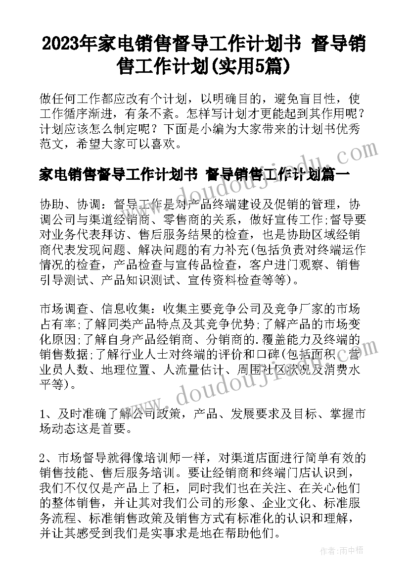 2023年家电销售督导工作计划书 督导销售工作计划(实用5篇)