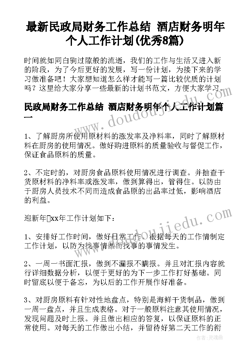 最新民政局财务工作总结 酒店财务明年个人工作计划(优秀8篇)