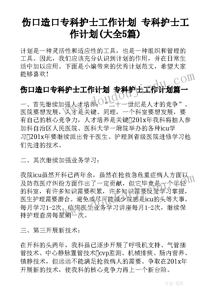 伤口造口专科护士工作计划 专科护士工作计划(大全5篇)