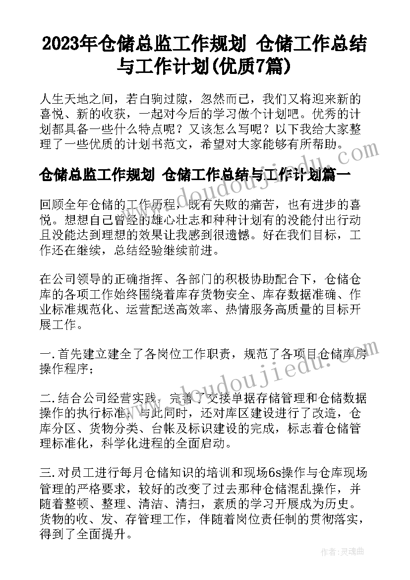 2023年仓储总监工作规划 仓储工作总结与工作计划(优质7篇)