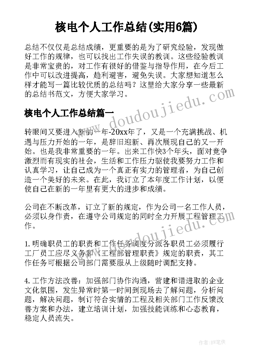 核电个人工作总结(实用6篇)