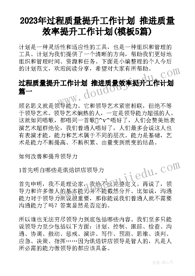 2023年过程质量提升工作计划 推进质量效率提升工作计划(模板5篇)