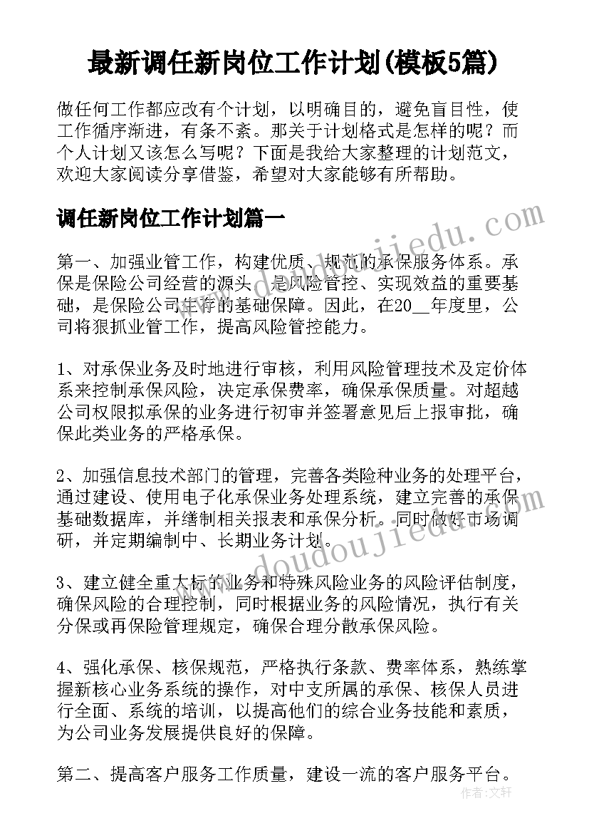 最新调任新岗位工作计划(模板5篇)