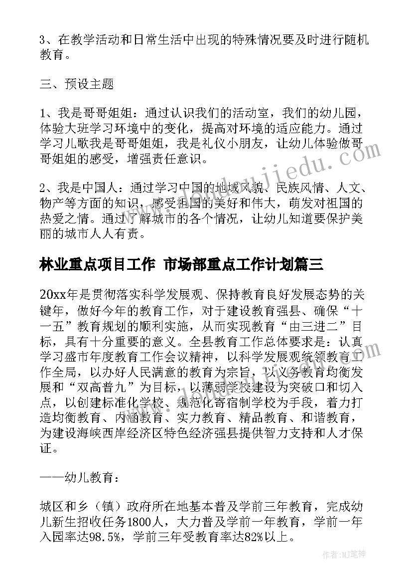 2023年林业重点项目工作 市场部重点工作计划(通用7篇)