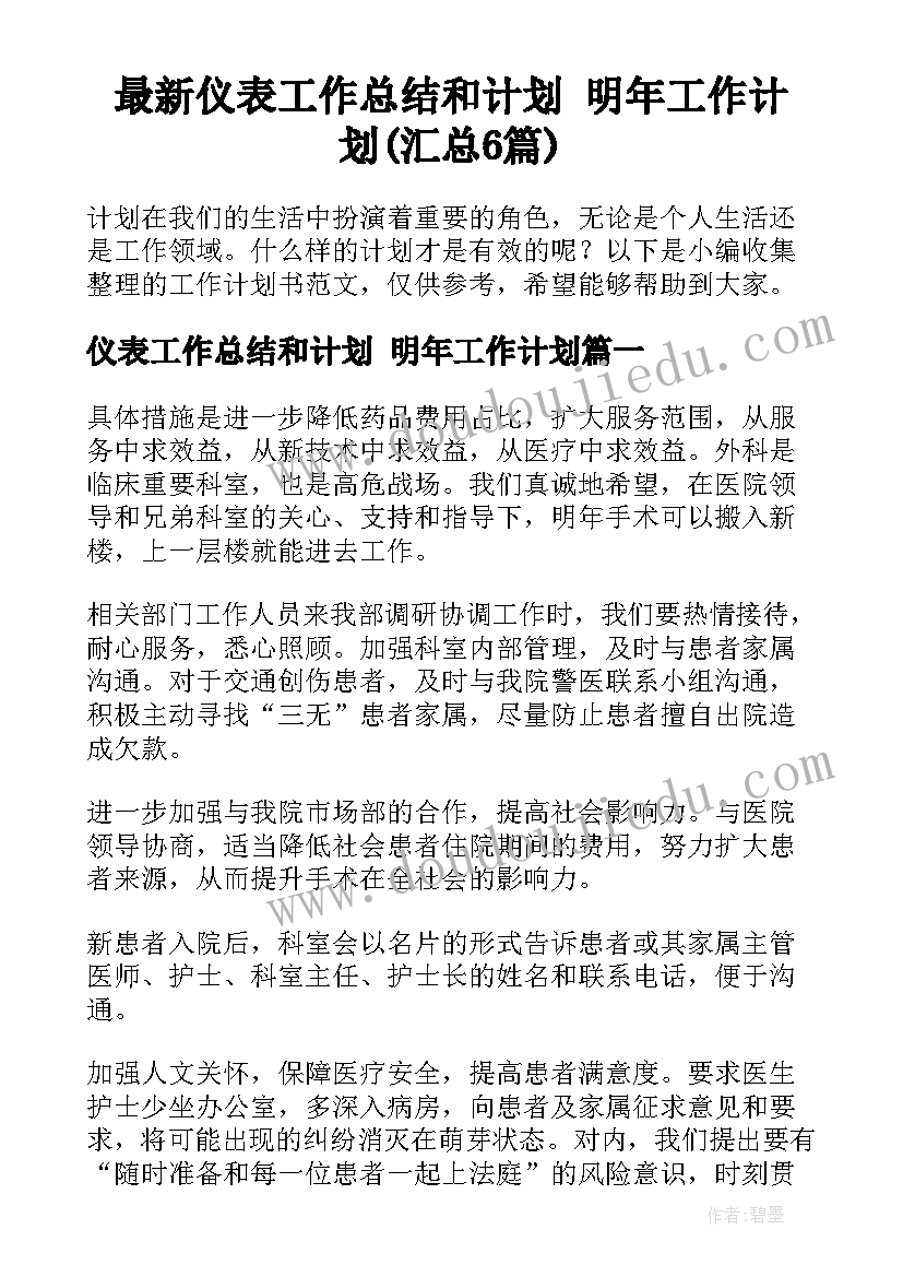 最新仪表工作总结和计划 明年工作计划(汇总6篇)