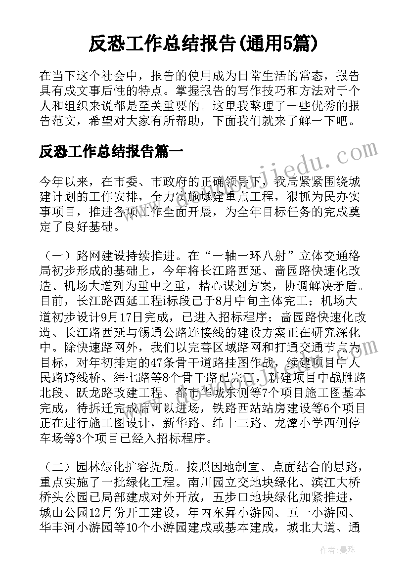 反恐工作总结报告(通用5篇)