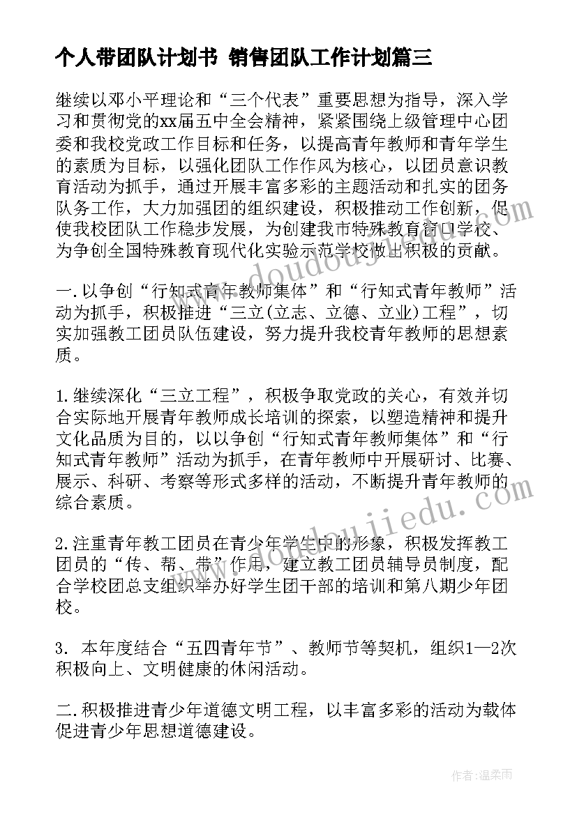 个人带团队计划书 销售团队工作计划(精选6篇)