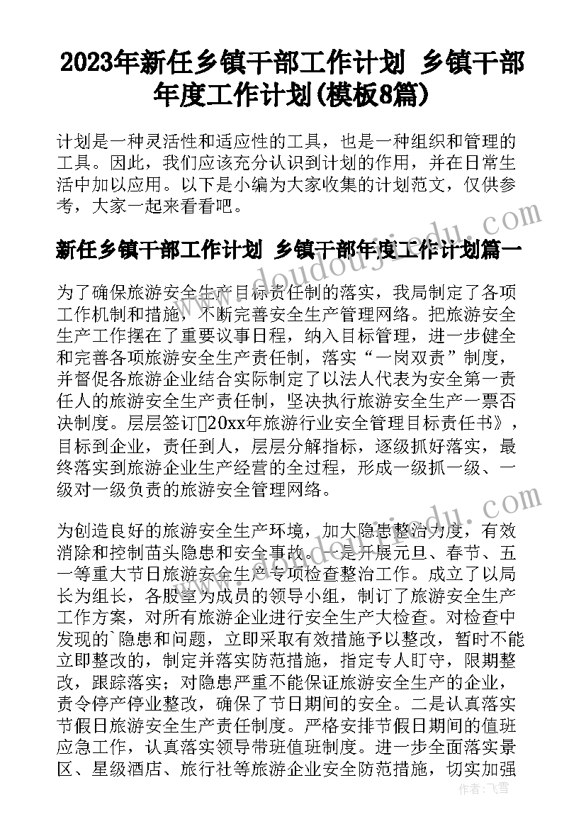 2023年新任乡镇干部工作计划 乡镇干部年度工作计划(模板8篇)