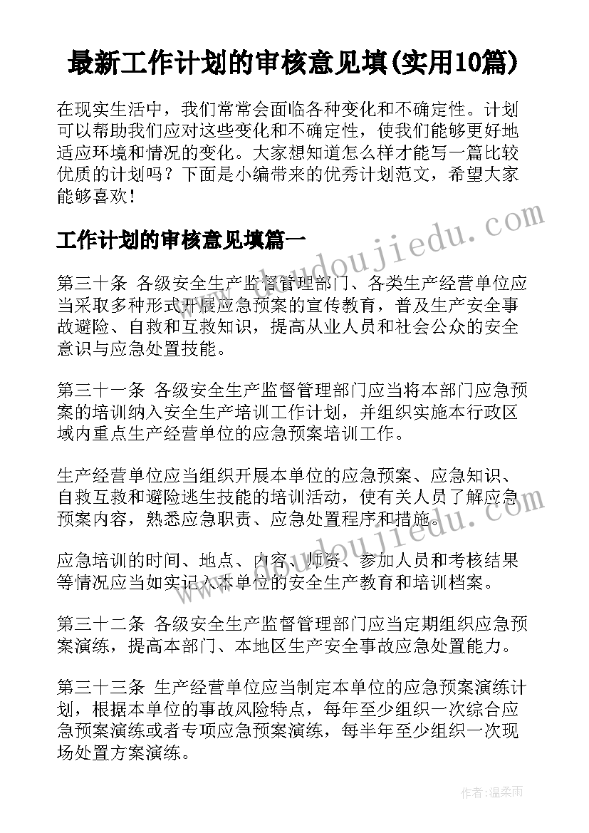 最新工作计划的审核意见填(实用10篇)