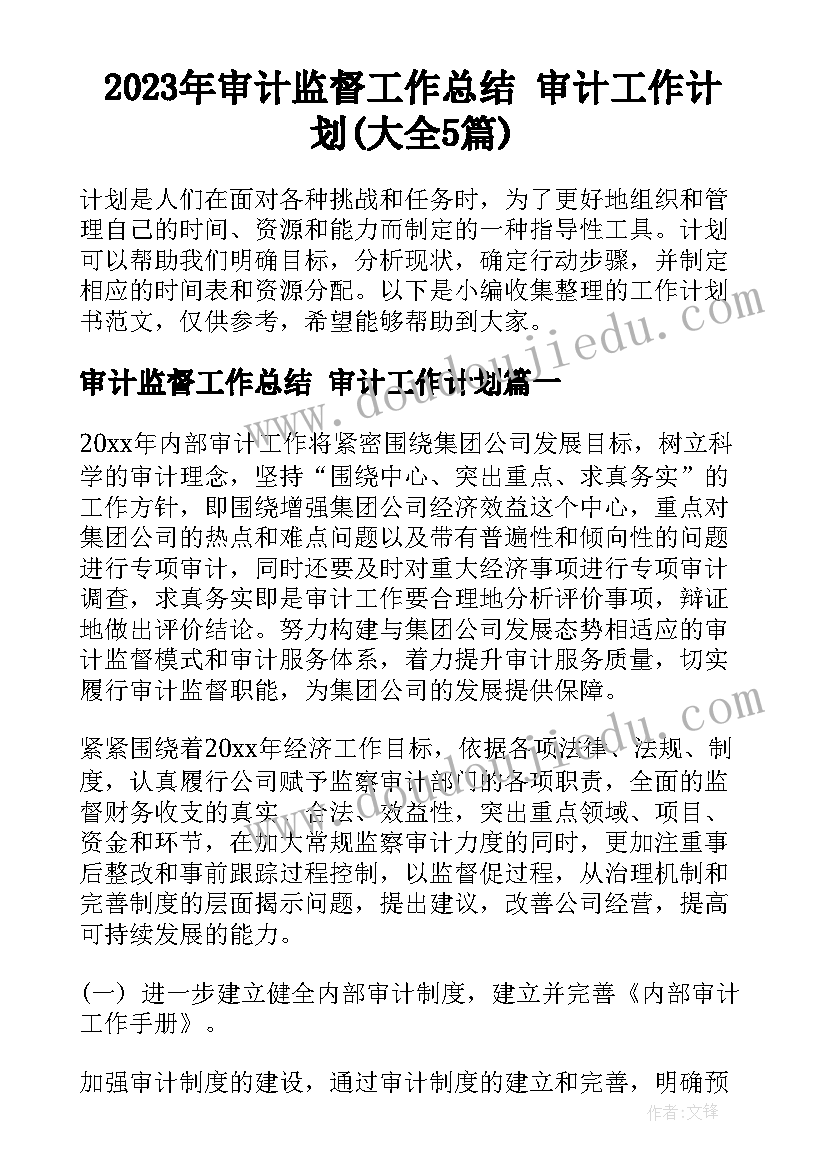 2023年审计监督工作总结 审计工作计划(大全5篇)