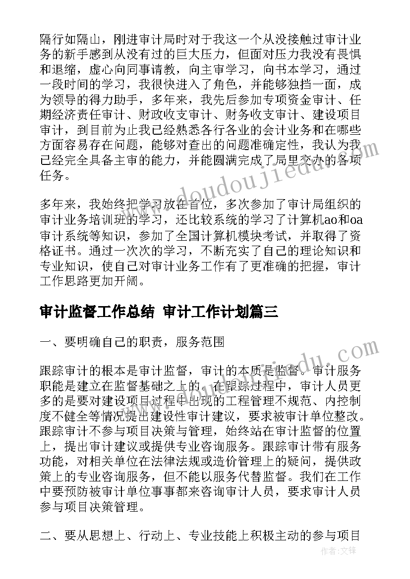 2023年审计监督工作总结 审计工作计划(大全5篇)