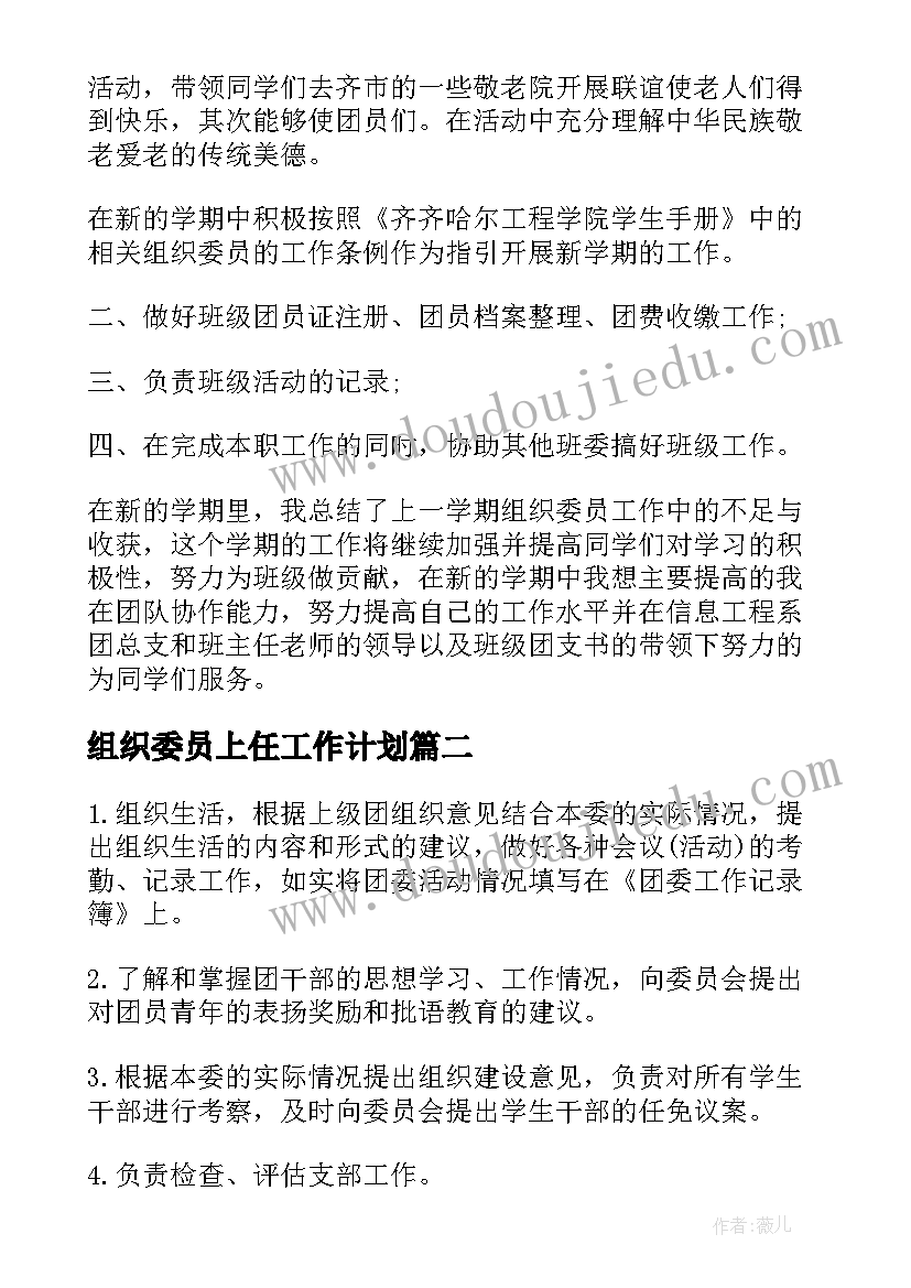 2023年组织委员上任工作计划(通用10篇)