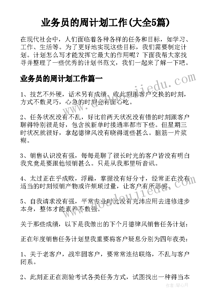 业务员的周计划工作(大全5篇)