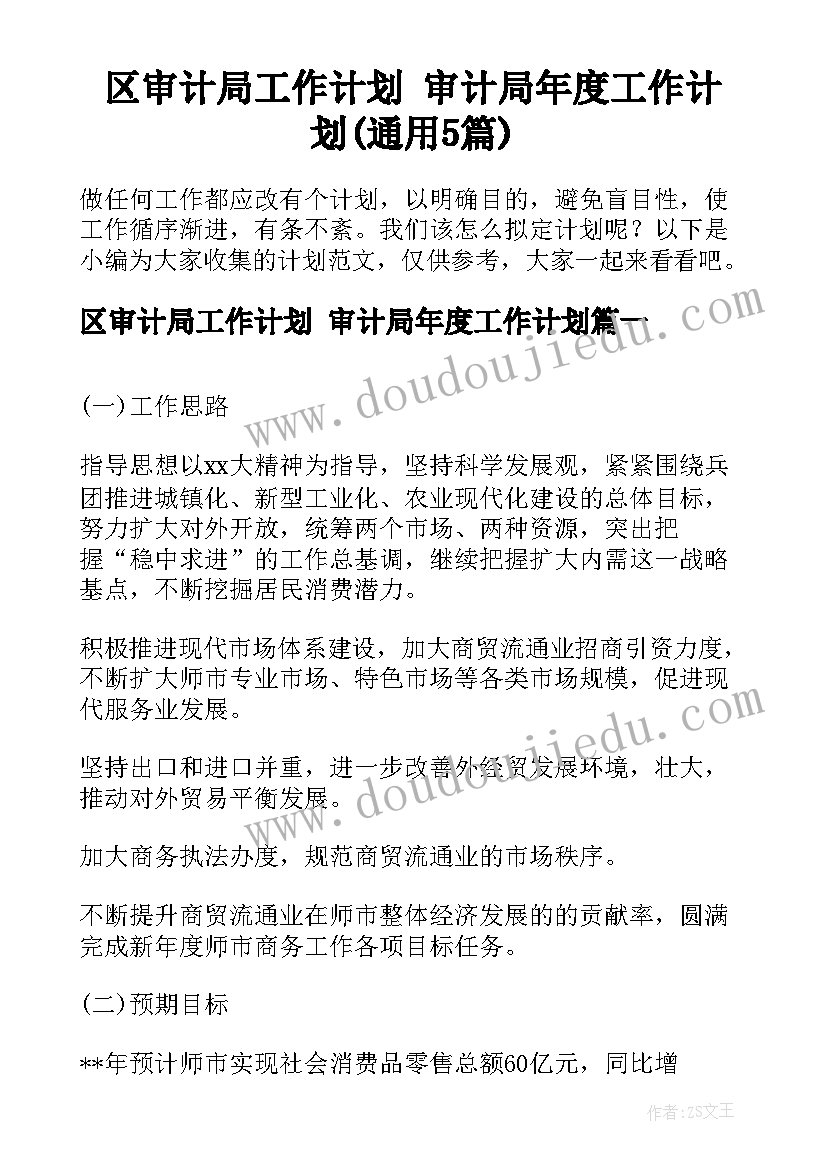 区审计局工作计划 审计局年度工作计划(通用5篇)