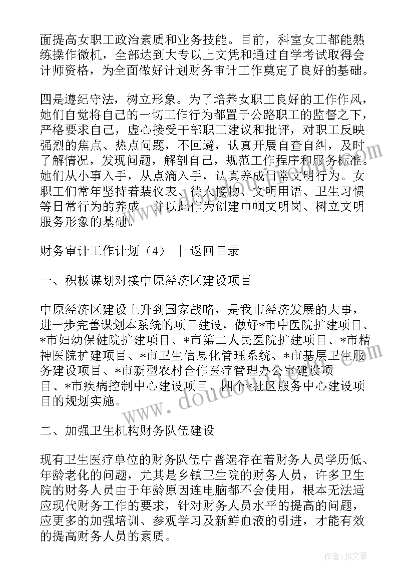 最新审计检查情况表 财务审计工作计划(优质5篇)