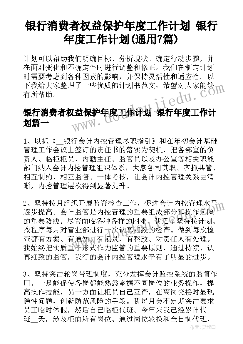 银行消费者权益保护年度工作计划 银行年度工作计划(通用7篇)