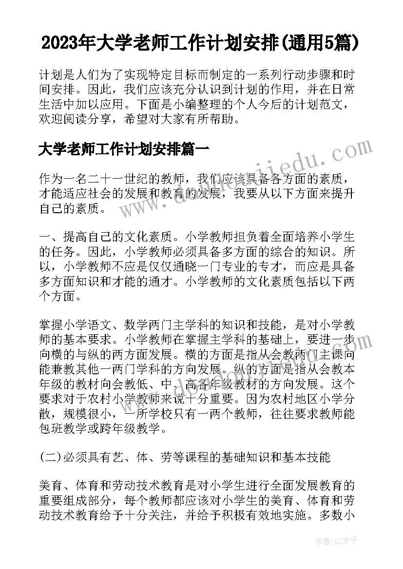 2023年大学老师工作计划安排(通用5篇)