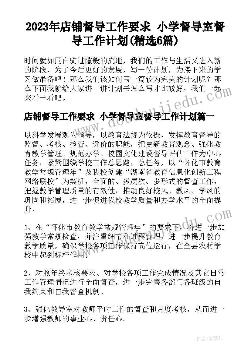 2023年店铺督导工作要求 小学督导室督导工作计划(精选6篇)