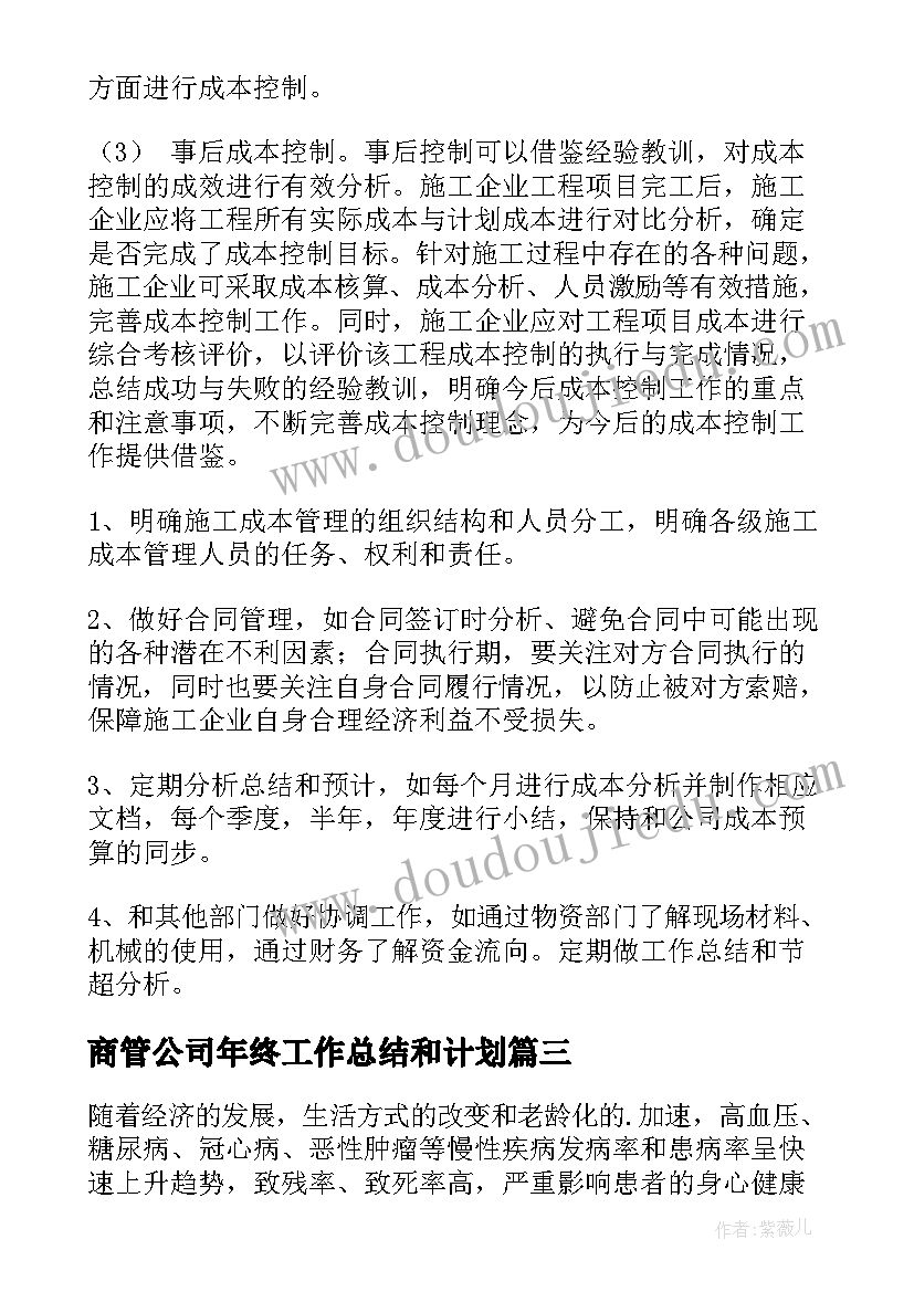 商管公司年终工作总结和计划(通用8篇)