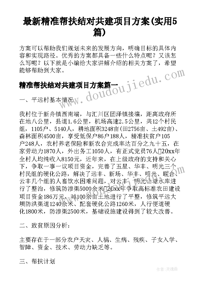 最新精准帮扶结对共建项目方案(实用5篇)