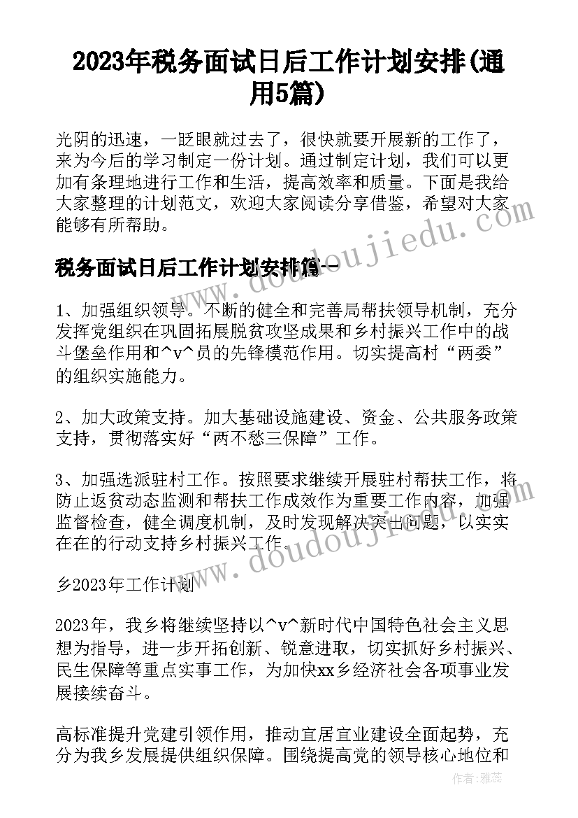 2023年税务面试日后工作计划安排(通用5篇)