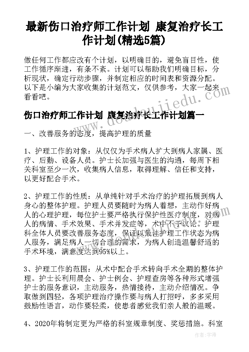 最新伤口治疗师工作计划 康复治疗长工作计划(精选5篇)