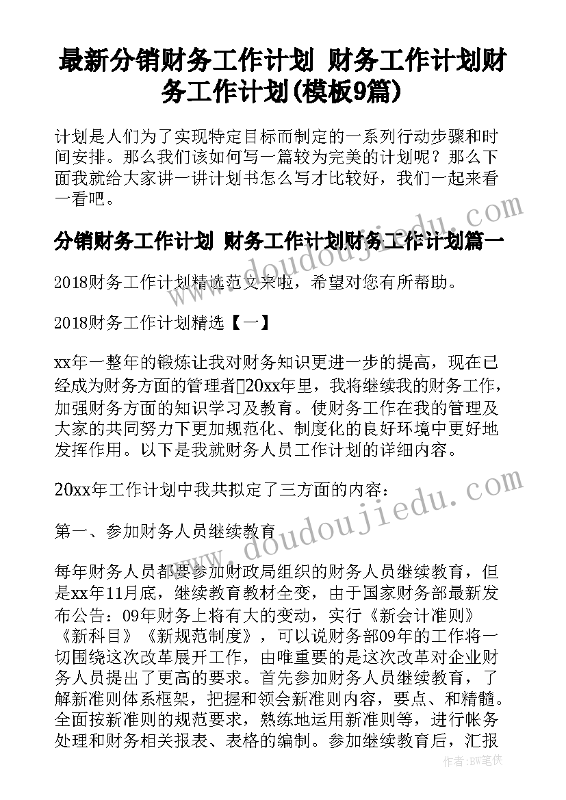 最新分销财务工作计划 财务工作计划财务工作计划(模板9篇)