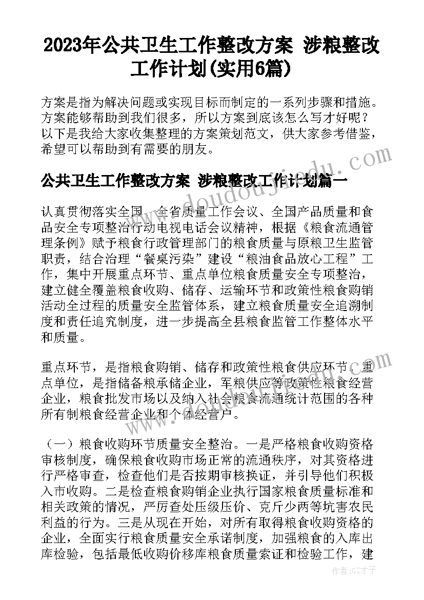 2023年公共卫生工作整改方案 涉粮整改工作计划(实用6篇)