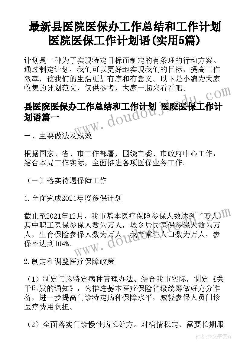 最新县医院医保办工作总结和工作计划 医院医保工作计划语(实用5篇)