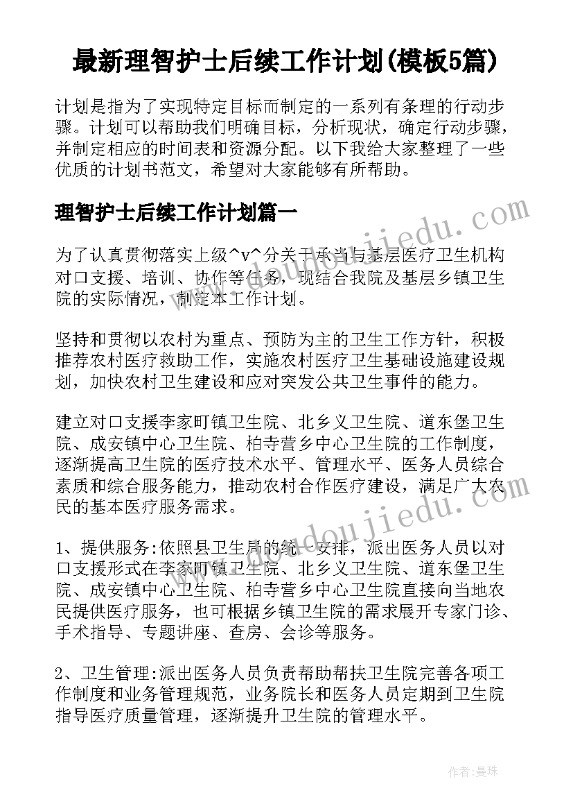 最新理智护士后续工作计划(模板5篇)