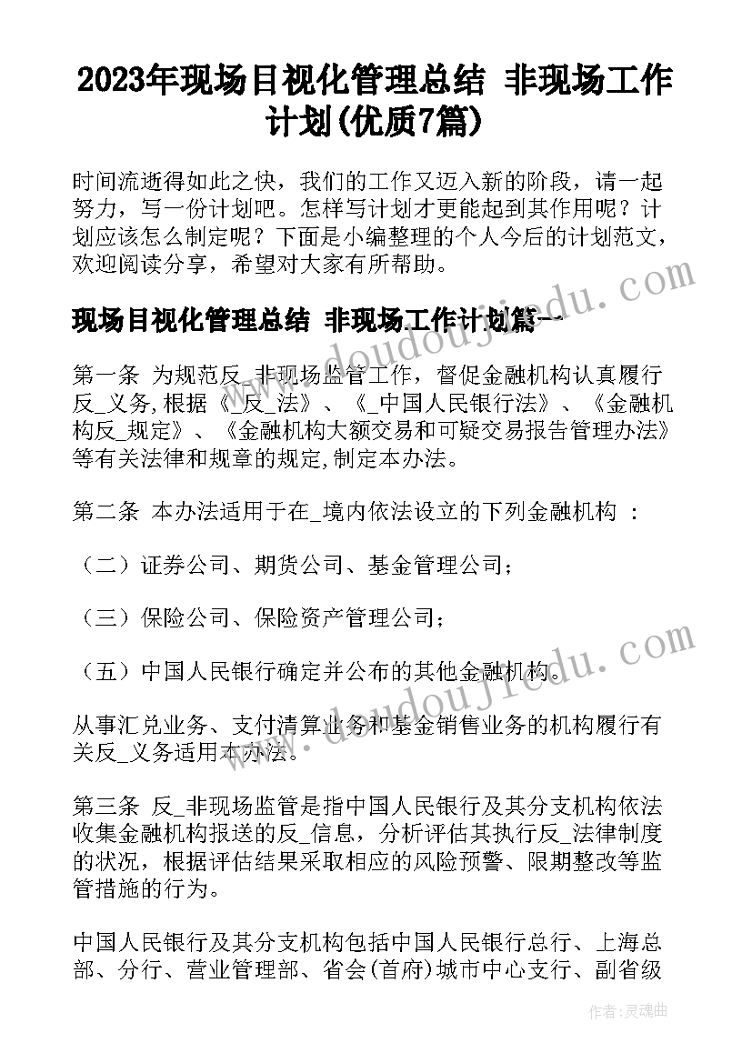 2023年现场目视化管理总结 非现场工作计划(优质7篇)