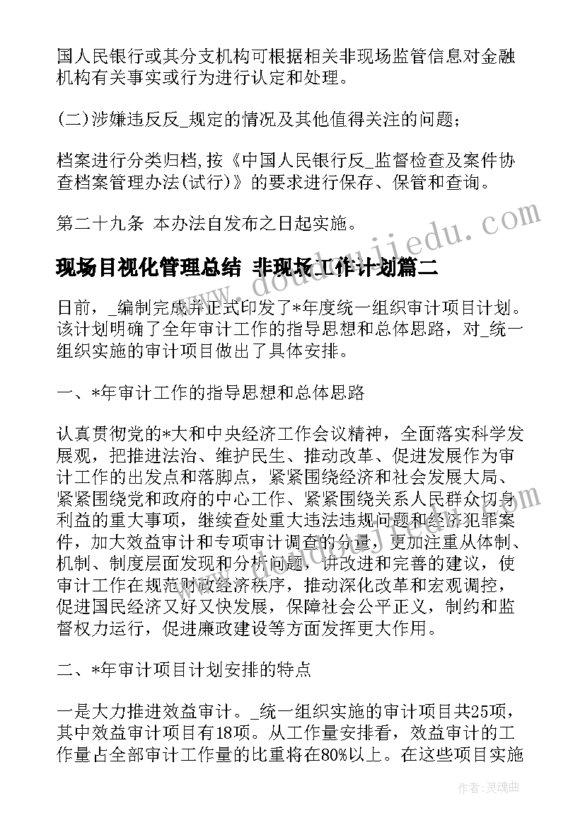 2023年现场目视化管理总结 非现场工作计划(优质7篇)