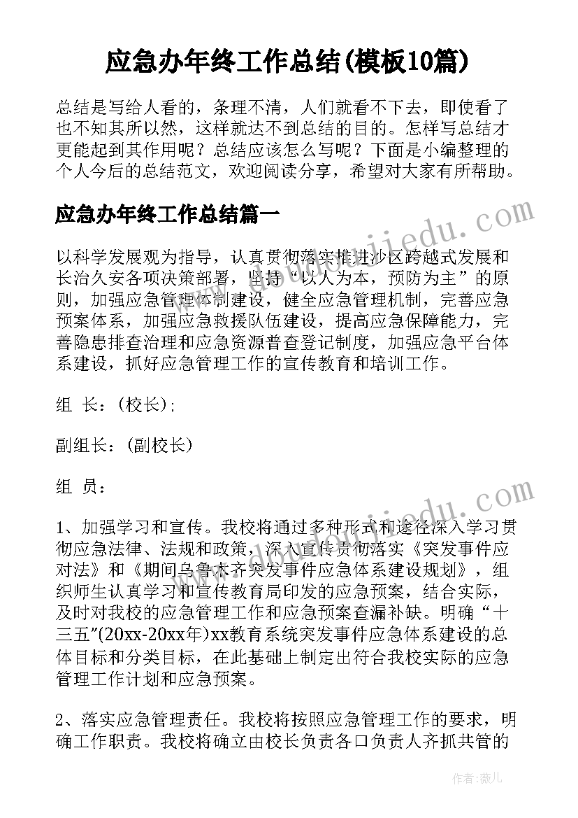 应急办年终工作总结(模板10篇)