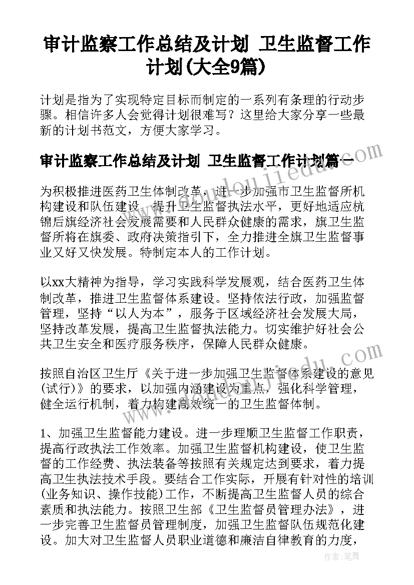 审计监察工作总结及计划 卫生监督工作计划(大全9篇)