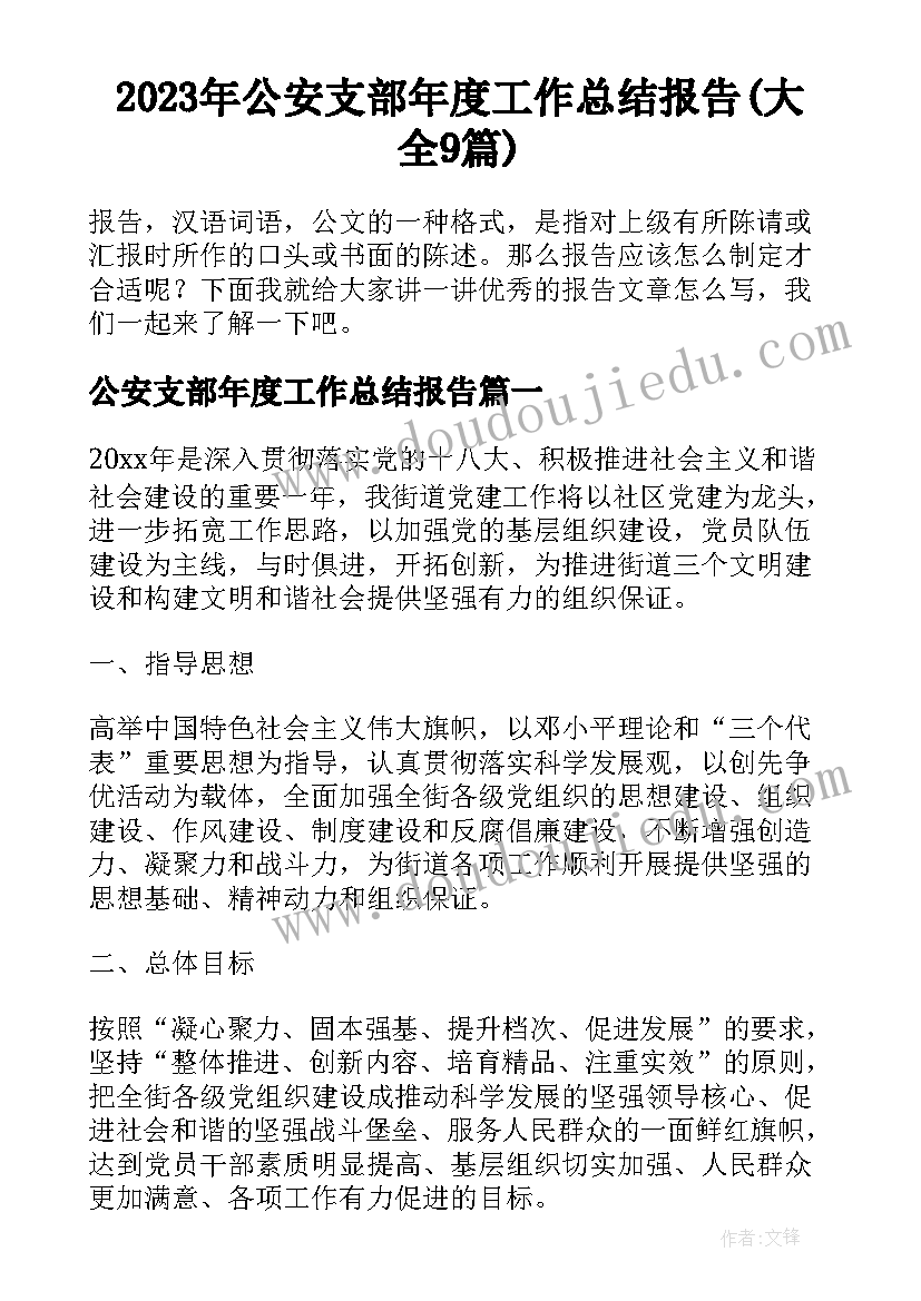 2023年公安支部年度工作总结报告(大全9篇)